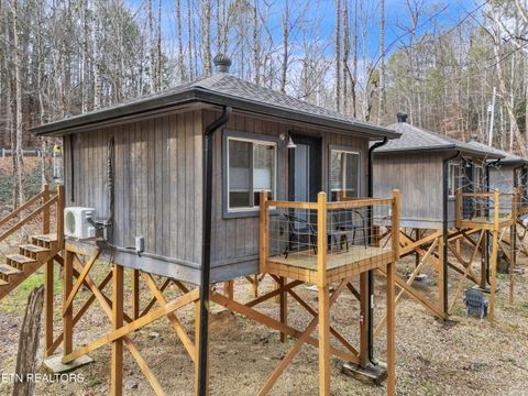 Tiny photo for 750 Caney Creek Rd, Cosby, TN 37722 (MLS # 1324020)