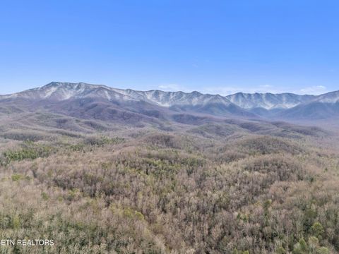 Tiny photo for 750 Caney Creek Rd, Cosby, TN 37722 (MLS # 1324020)
