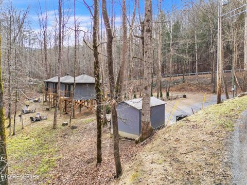 Tiny photo for 750 Caney Creek Rd, Cosby, TN 37722 (MLS # 1324020)