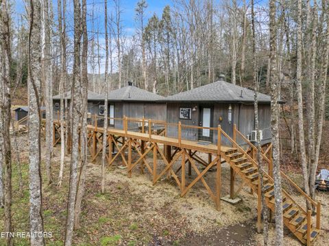 Tiny photo for 750 Caney Creek Rd, Cosby, TN 37722 (MLS # 1324020)