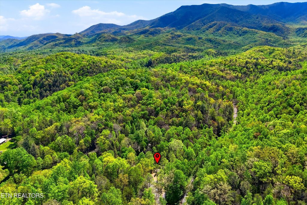 Photo of 750 Caney Creek Rd, Cosby, TN 37722 (MLS # 1324020)