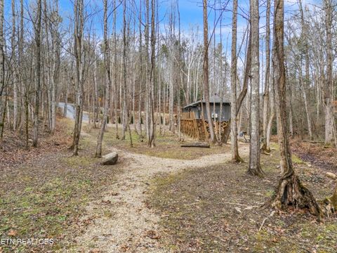 Tiny photo for 750 Caney Creek Rd, Cosby, TN 37722 (MLS # 1324020)