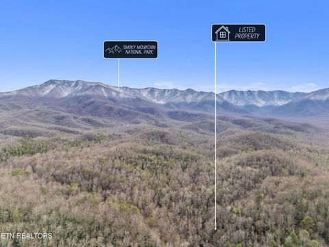 Tiny photo for 750 Caney Creek Rd, Cosby, TN 37722 (MLS # 1324020)