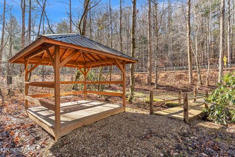 Tiny photo for 750 Caney Creek Rd, Cosby, TN 37722 (MLS # 1324020)