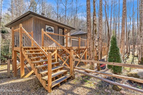 Tiny photo for 750 Caney Creek Rd, Cosby, TN 37722 (MLS # 1324020)