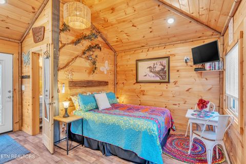 Tiny photo for 750 Caney Creek Rd, Cosby, TN 37722 (MLS # 1324020)