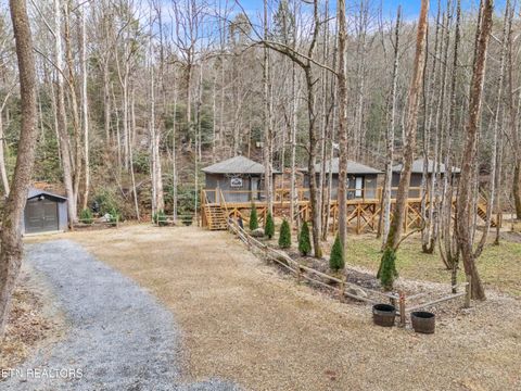 Tiny photo for 750 Caney Creek Rd, Cosby, TN 37722 (MLS # 1324020)
