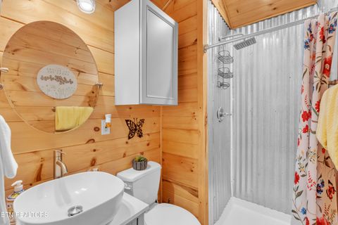 Tiny photo for 750 Caney Creek Rd, Cosby, TN 37722 (MLS # 1324020)