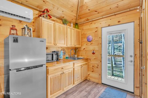 Tiny photo for 750 Caney Creek Rd, Cosby, TN 37722 (MLS # 1324020)