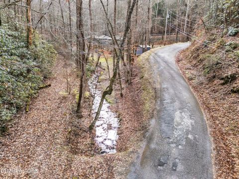 Tiny photo for 750 Caney Creek Rd, Cosby, TN 37722 (MLS # 1324020)