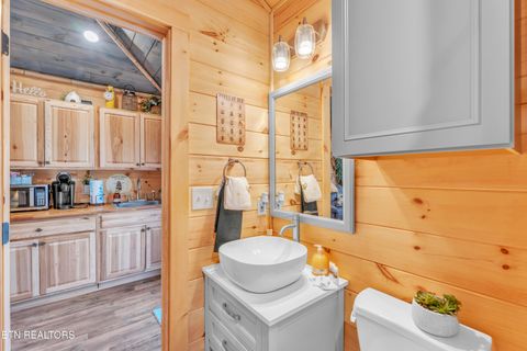 Tiny photo for 750 Caney Creek Rd, Cosby, TN 37722 (MLS # 1324020)