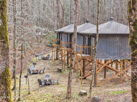 Tiny photo for 750 Caney Creek Rd, Cosby, TN 37722 (MLS # 1324020)