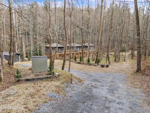 Tiny photo for 750 Caney Creek Rd, Cosby, TN 37722 (MLS # 1324020)