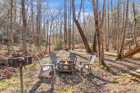 Tiny photo for 750 Caney Creek Rd, Cosby, TN 37722 (MLS # 1324020)