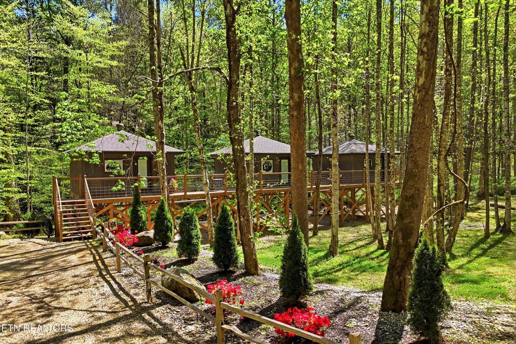 Photo of 750 Caney Creek Rd, Cosby, TN 37722 (MLS # 1324020)