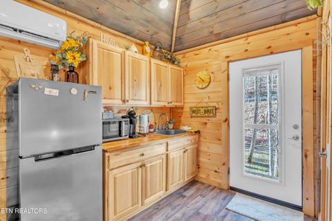 Tiny photo for 750 Caney Creek Rd, Cosby, TN 37722 (MLS # 1324020)