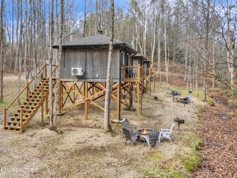 Tiny photo for 750 Caney Creek Rd, Cosby, TN 37722 (MLS # 1324020)