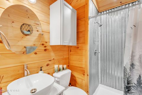 Tiny photo for 750 Caney Creek Rd, Cosby, TN 37722 (MLS # 1324020)