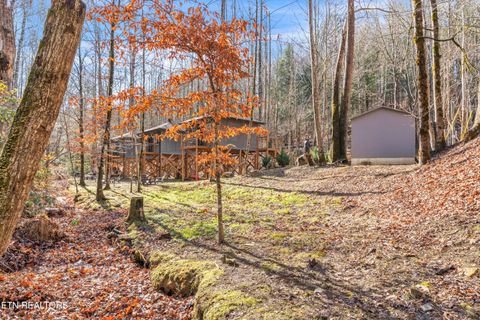 Tiny photo for 750 Caney Creek Rd, Cosby, TN 37722 (MLS # 1324020)