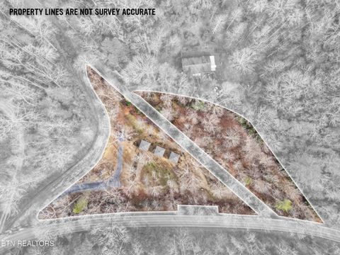 Tiny photo for 750 Caney Creek Rd, Cosby, TN 37722 (MLS # 1324020)