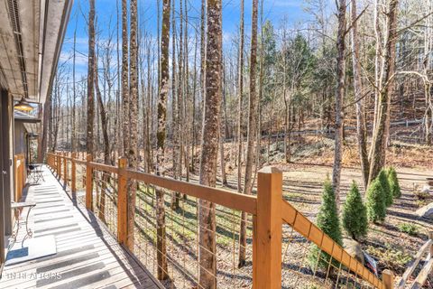 Tiny photo for 750 Caney Creek Rd, Cosby, TN 37722 (MLS # 1324020)