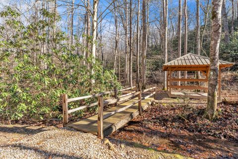 Tiny photo for 750 Caney Creek Rd, Cosby, TN 37722 (MLS # 1324020)