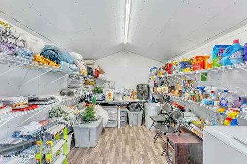 Tiny photo for 750 Caney Creek Rd, Cosby, TN 37722 (MLS # 1324020)