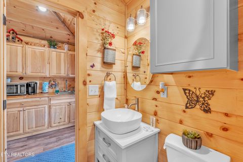 Tiny photo for 750 Caney Creek Rd, Cosby, TN 37722 (MLS # 1324020)