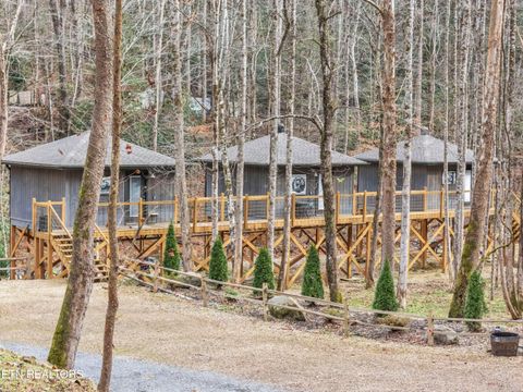 Tiny photo for 750 Caney Creek Rd, Cosby, TN 37722 (MLS # 1324020)