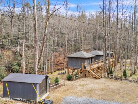 Tiny photo for 750 Caney Creek Rd, Cosby, TN 37722 (MLS # 1324020)