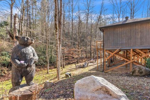 Tiny photo for 750 Caney Creek Rd, Cosby, TN 37722 (MLS # 1324020)