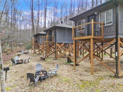 Tiny photo for 750 Caney Creek Rd, Cosby, TN 37722 (MLS # 1324020)