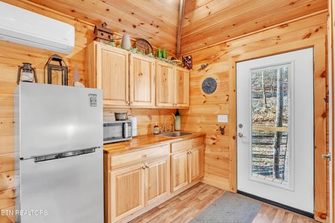 Tiny photo for 750 Caney Creek Rd, Cosby, TN 37722 (MLS # 1324020)