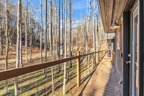 Tiny photo for 750 Caney Creek Rd, Cosby, TN 37722 (MLS # 1324020)