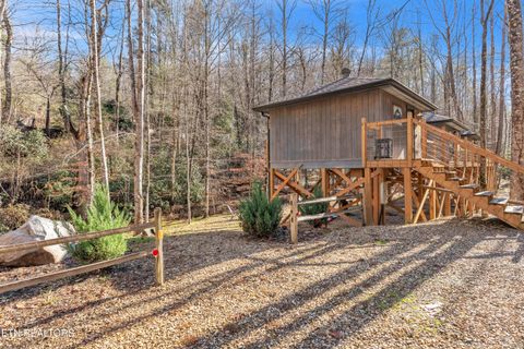 Tiny photo for 750 Caney Creek Rd, Cosby, TN 37722 (MLS # 1324020)