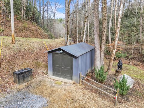 Tiny photo for 750 Caney Creek Rd, Cosby, TN 37722 (MLS # 1324020)