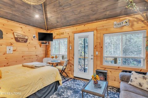 Tiny photo for 750 Caney Creek Rd, Cosby, TN 37722 (MLS # 1324020)