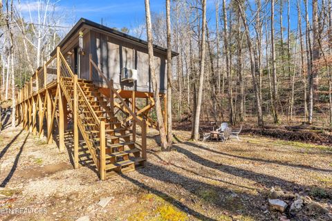 Tiny photo for 750 Caney Creek Rd, Cosby, TN 37722 (MLS # 1324020)