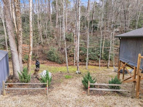 Tiny photo for 750 Caney Creek Rd, Cosby, TN 37722 (MLS # 1324020)