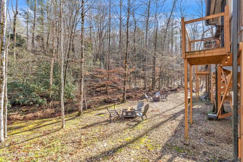 Tiny photo for 750 Caney Creek Rd, Cosby, TN 37722 (MLS # 1324020)