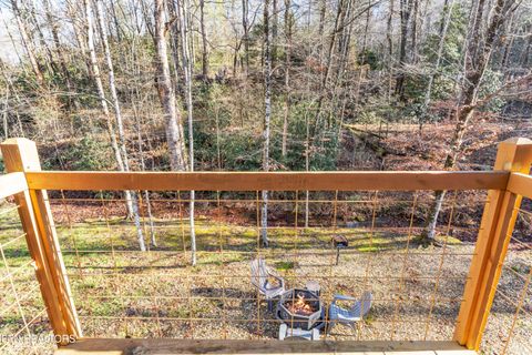 Tiny photo for 750 Caney Creek Rd, Cosby, TN 37722 (MLS # 1324020)