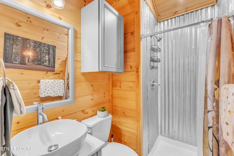 Tiny photo for 750 Caney Creek Rd, Cosby, TN 37722 (MLS # 1324020)