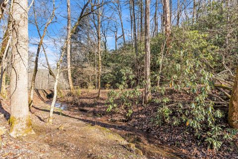Tiny photo for 750 Caney Creek Rd, Cosby, TN 37722 (MLS # 1324020)