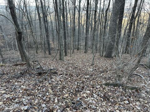 Photo of 00 Fox Ridge Road, Pikeville, TN 37367 (MLS # 1326168)