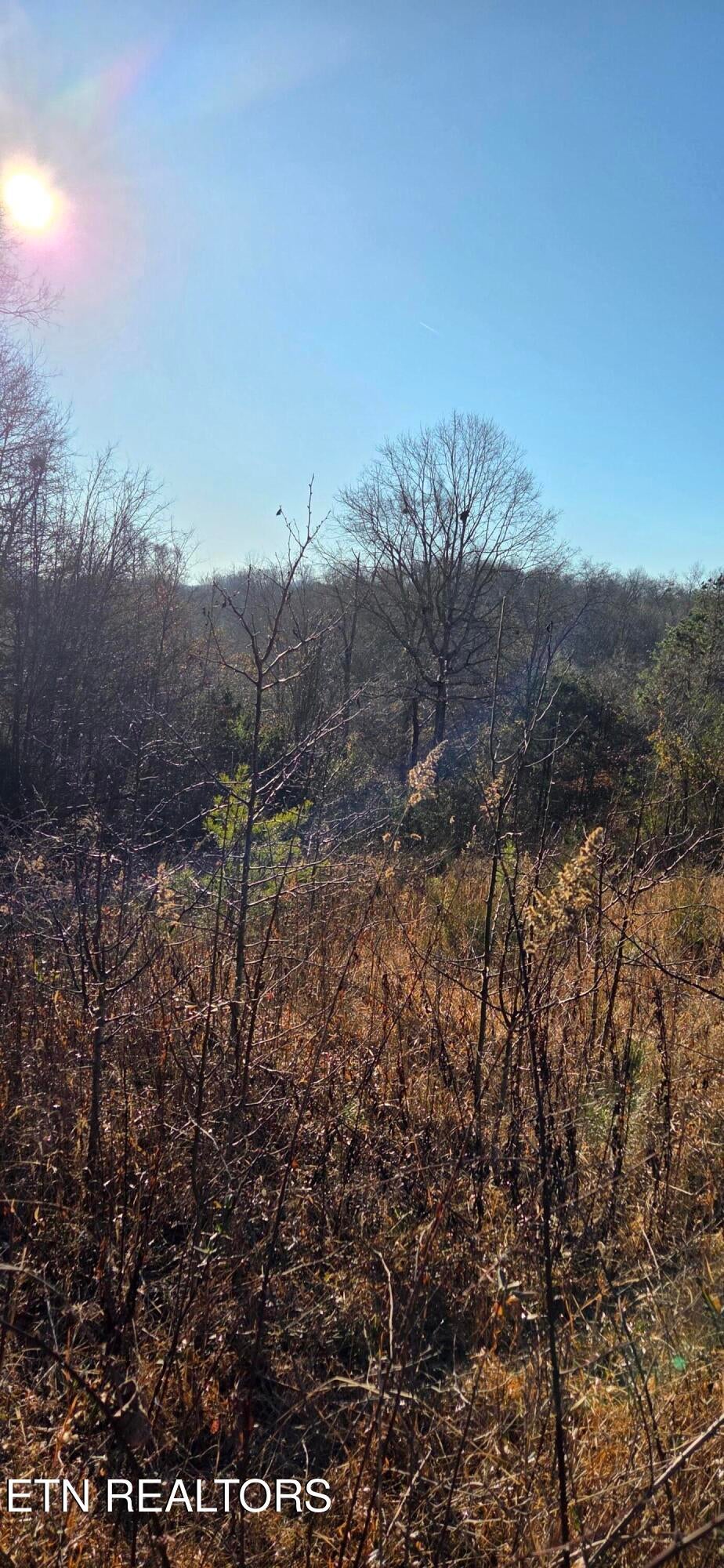 Lot 3 Sugar Maple Court