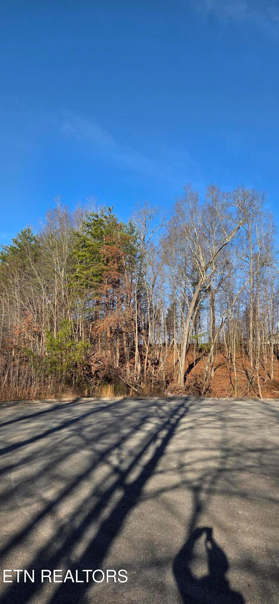 Lot 3 Sugar Maple Court