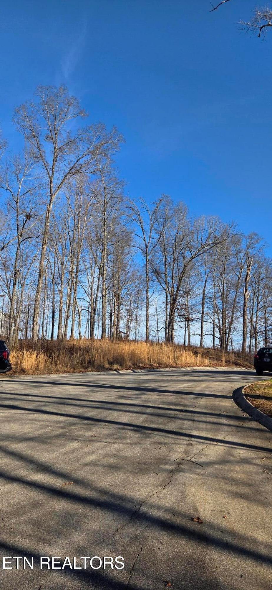 Lot 3 Sugar Maple Court