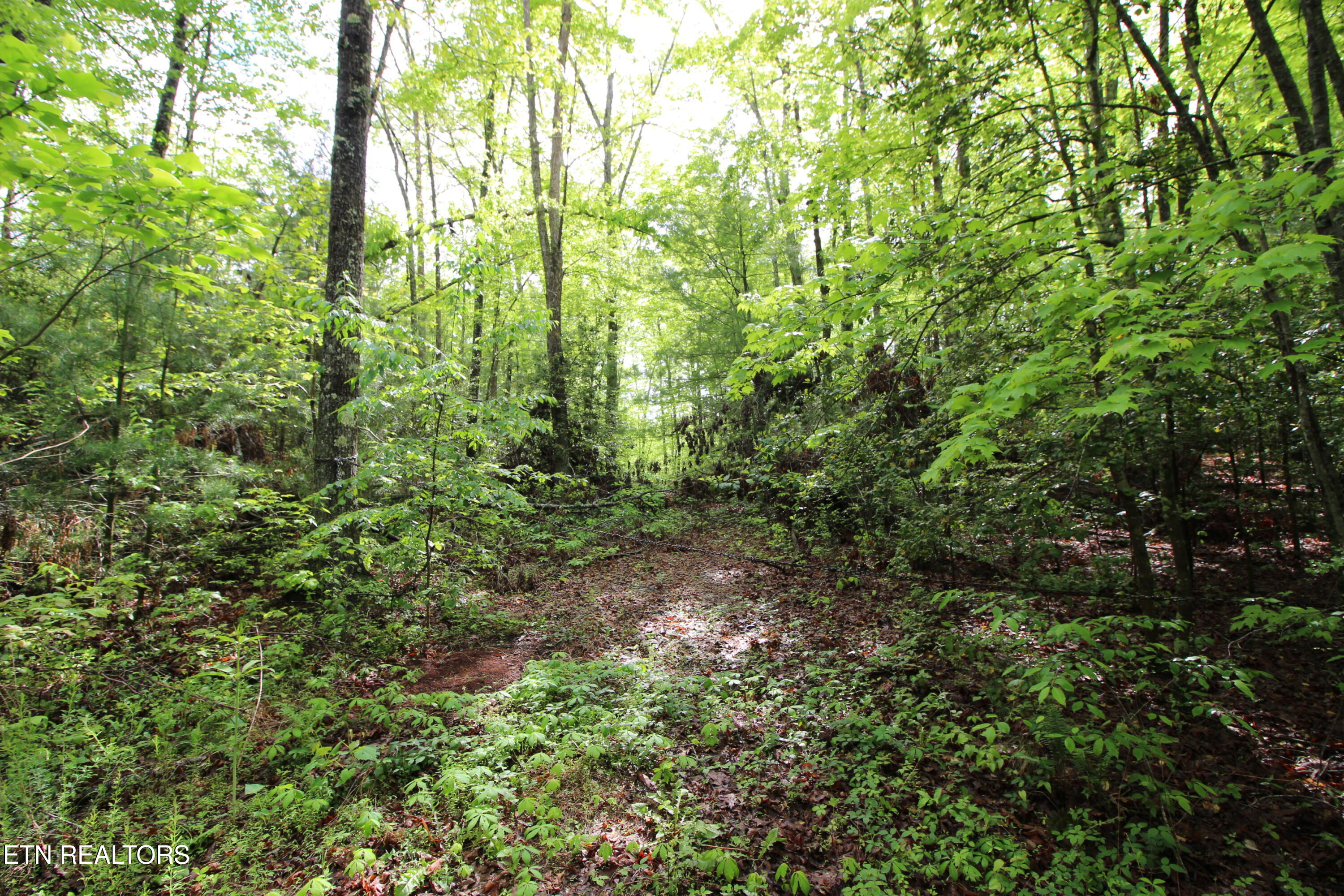 25.24 AC Loyd Knox Rd