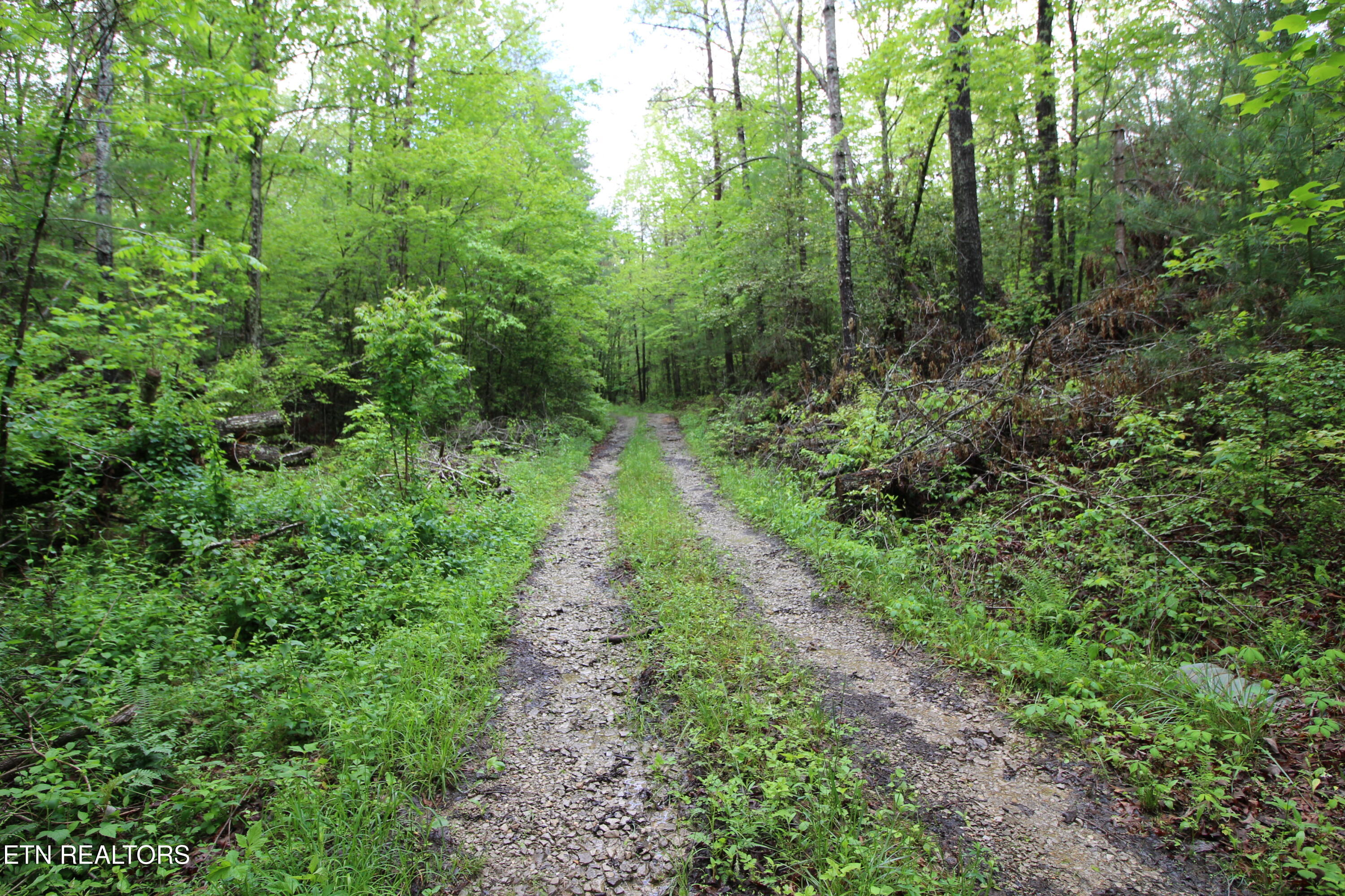 25.24 AC Loyd Knox Rd