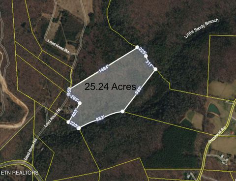 25.24 AC Loyd Knox Rd Grandview TN 37337